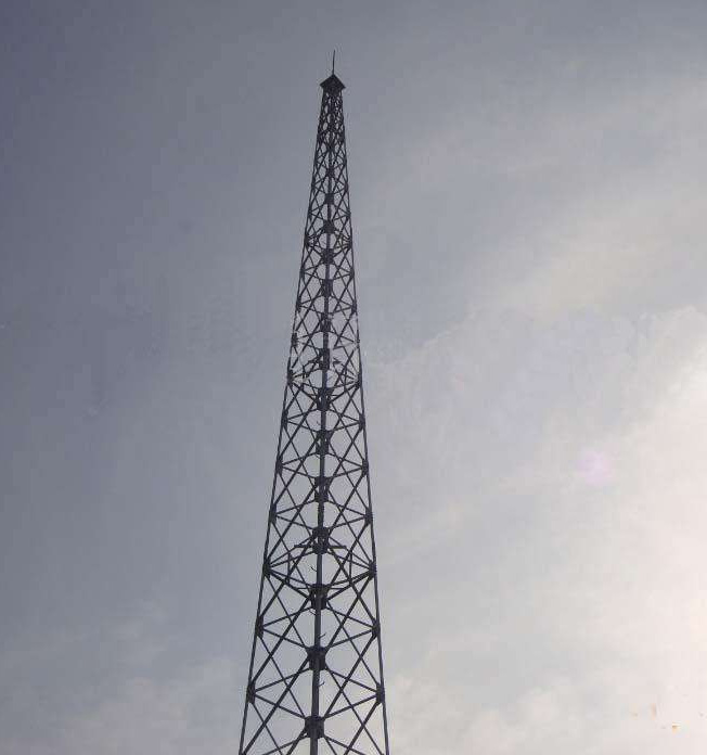 MSFJ-01�ĽǱ�����